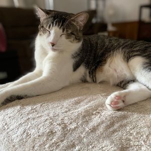 Meet your Posher, Patsy